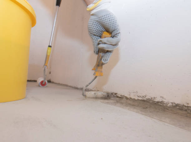 Best Pest Control for Multi-Family Homes  in Kalispell, MT